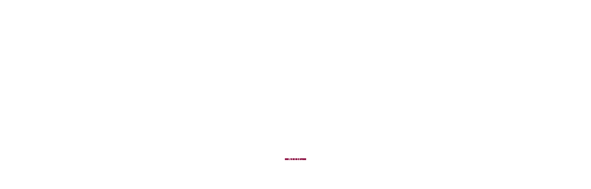 オフィシャルブログ